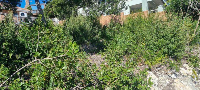 0 Bedroom Property for Sale in Groot Brakrivier Central Western Cape